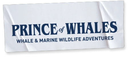  Princeofwhales South Africa Coupon Codes