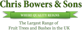  Chris Bowers & Sons South Africa Coupon Codes