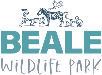  Beale Park South Africa Coupon Codes