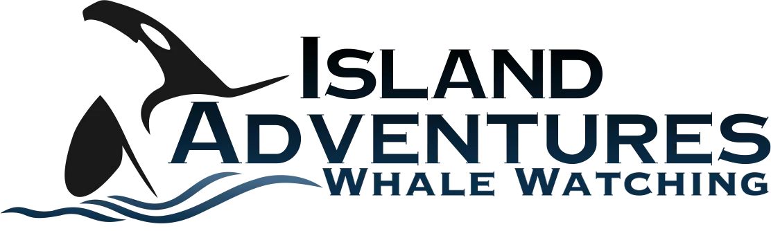  Island Adventures Whale Watching South Africa Coupon Codes