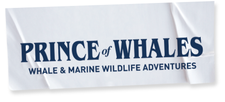  Princeofwhales South Africa Coupon Codes