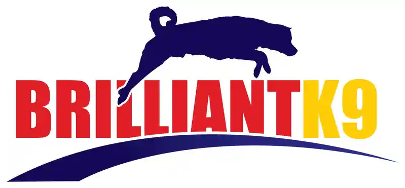  Brilliantk9 South Africa Coupon Codes