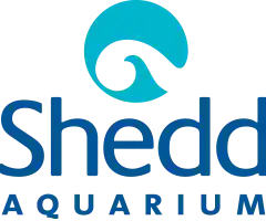  Shedd Aquarium South Africa Coupon Codes