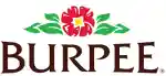  Burpee South Africa Coupon Codes